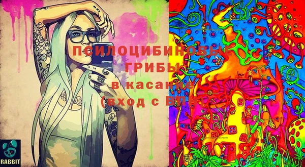 ECSTASY Бронницы